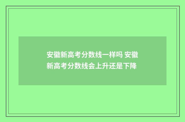 安徽新高考分数线一样吗 安徽新高考分数线会上升还是下降
