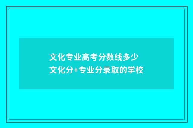 文化专业高考分数线多少 文化分+专业分录取的学校