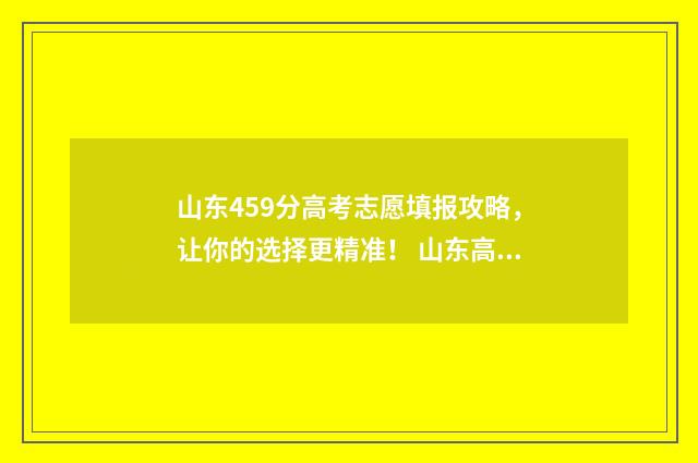 山东459分高考志愿填报攻略，让你的选择更精准！ 山东高考452分