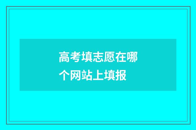 高考填志愿在哪个网站上填报