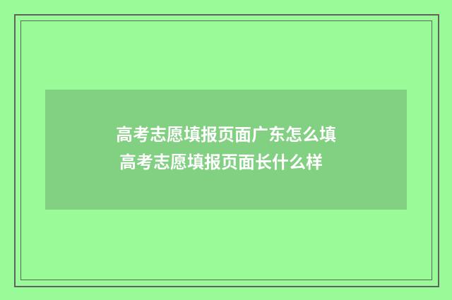高考志愿填报页面广东怎么填 高考志愿填报页面长什么样