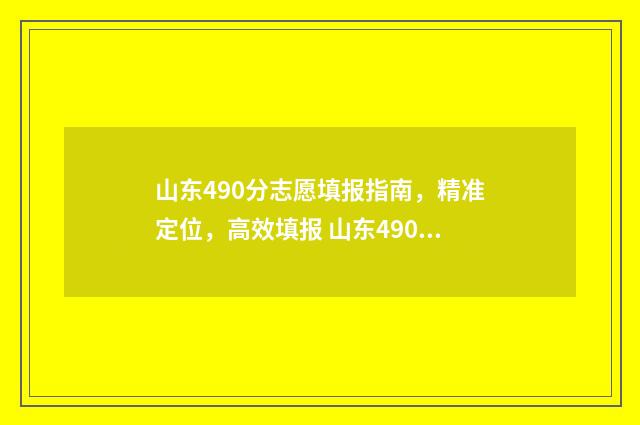 山东490分志愿填报指南，精准定位，高效填报 山东490分能考的一本大学