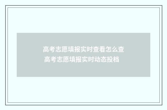 高考志愿填报实时查看怎么查 高考志愿填报实时动态投档