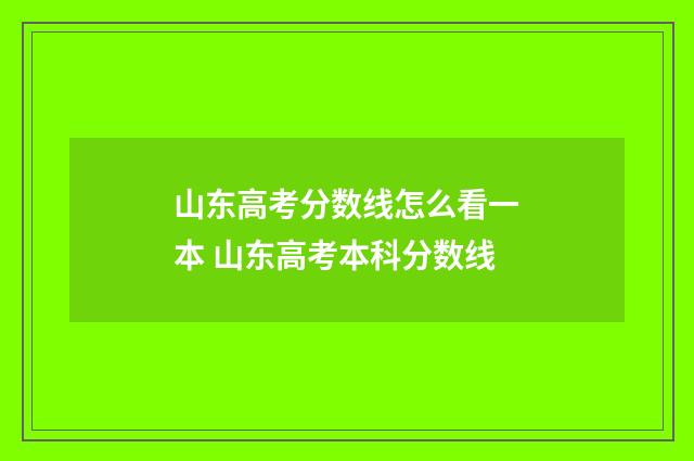 山东高考分数线怎么看一本 山东高考本科分数线