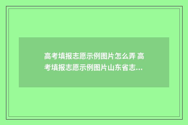 高考填报志愿示例图片怎么弄 高考填报志愿示例图片山东省志愿填报志愿表
