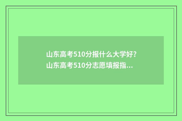 山东高考510分报什么大学好？山东高考510分志愿填报指导 山东高考510分是什么水平