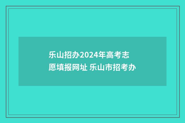 乐山招办2024年高考志愿填报网址 乐山市招考办