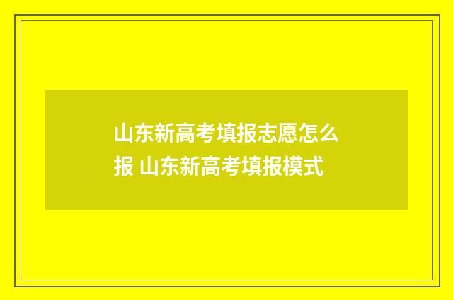 山东新高考填报志愿怎么报 山东新高考填报模式