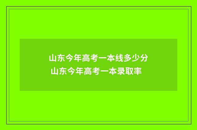 山东今年高考一本线多少分 山东今年高考一本录取率