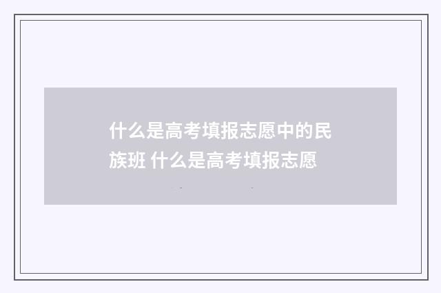 什么是高考填报志愿中的民族班 什么是高考填报志愿