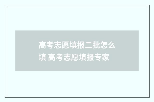 高考志愿填报二批怎么填 高考志愿填报专家