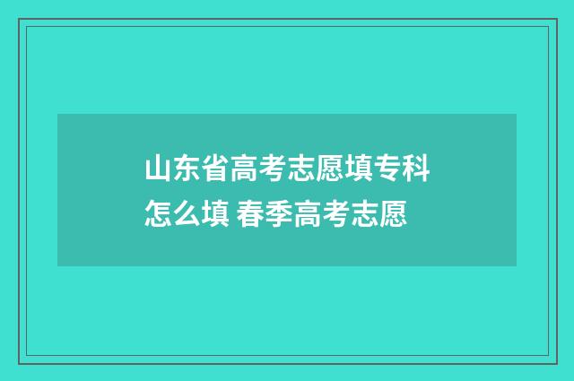 山东省高考志愿填专科怎么填 春季高考志愿