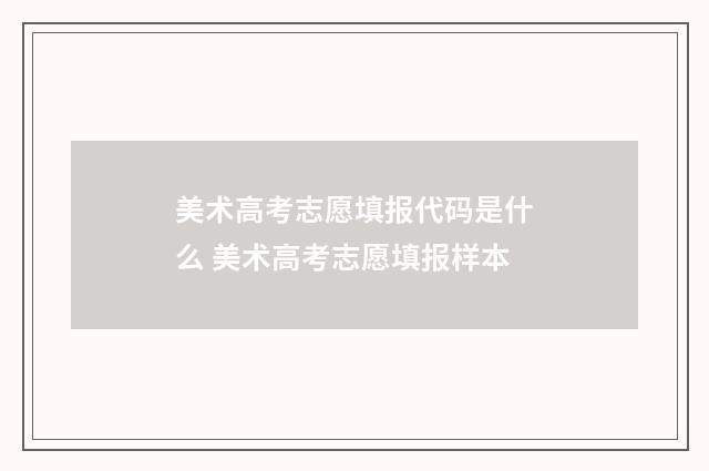 美术高考志愿填报代码是什么 美术高考志愿填报样本
