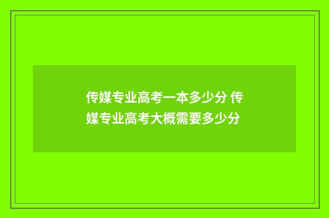 传媒专业高考一本多少分 传媒专业高考大概需要多少分