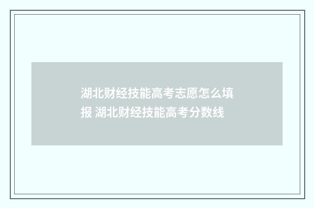 湖北财经技能高考志愿怎么填报 湖北财经技能高考分数线