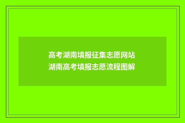 高考湖南填报征集志愿网站 湖南高考填报志愿流程图解