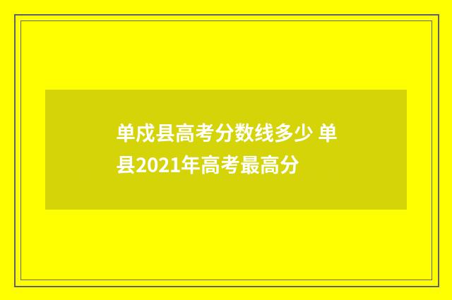 单戍县高考分数线多少 单县2021年高考最高分