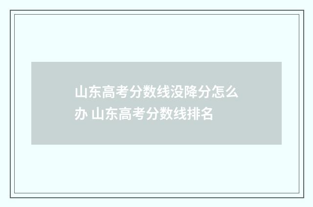 山东高考分数线没降分怎么办 山东高考分数线排名