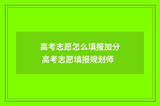 高考志愿怎么填报加分 高考志愿填报规划师