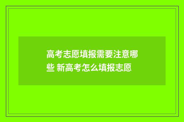 高考志愿填报需要注意哪些 新高考怎么填报志愿