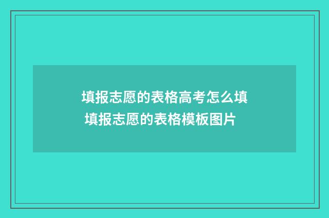 填报志愿的表格高考怎么填 填报志愿的表格模板图片