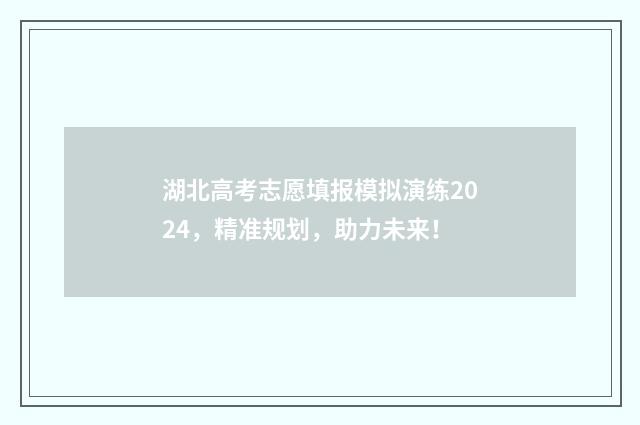 湖北高考志愿填报模拟演练2024，精准规划，助力未来！