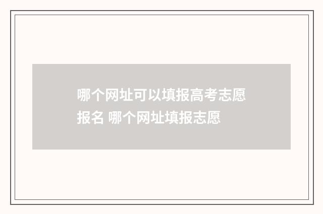 哪个网址可以填报高考志愿报名 哪个网址填报志愿