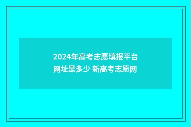 2024年高考志愿填报平台网址是多少 新高考志愿网