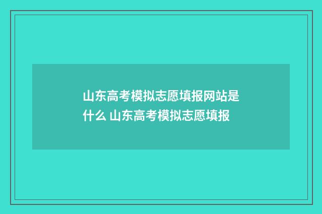 山东高考模拟志愿填报网站是什么 山东高考模拟志愿填报