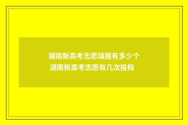 湖南新高考志愿填报有多少个 湖南新高考志愿有几次投档