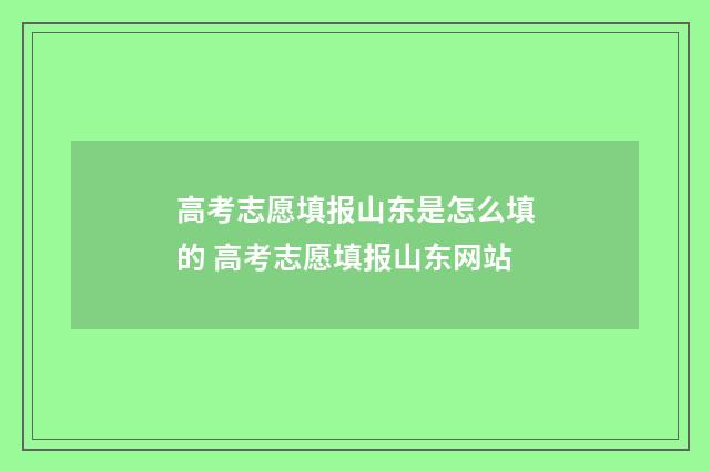 高考志愿填报山东是怎么填的 高考志愿填报山东网站