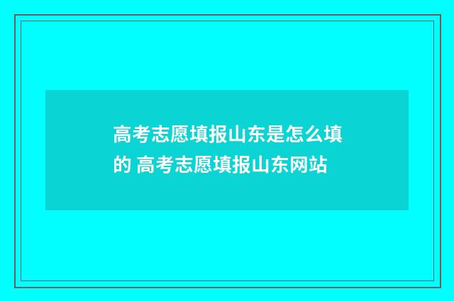 高考志愿填报山东是怎么填的 高考志愿填报山东网站