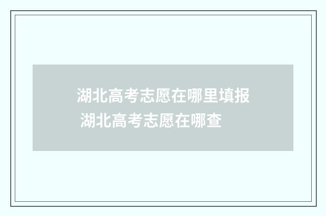 湖北高考志愿在哪里填报 湖北高考志愿在哪查