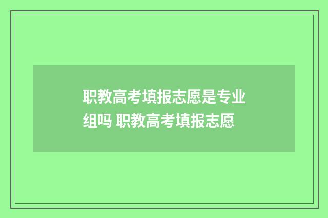 职教高考填报志愿是专业组吗 职教高考填报志愿
