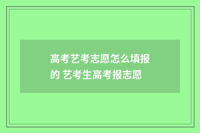 高考艺考志愿怎么填报的 艺考生高考报志愿