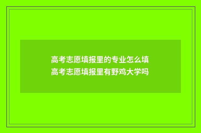 高考志愿填报里的专业怎么填 高考志愿填报里有野鸡大学吗