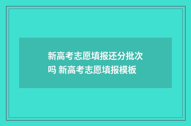 新高考志愿填报还分批次吗 新高考志愿填报模板
