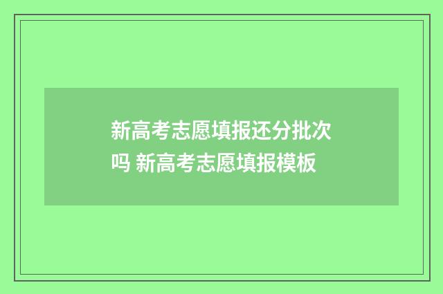 新高考志愿填报还分批次吗 新高考志愿填报模板