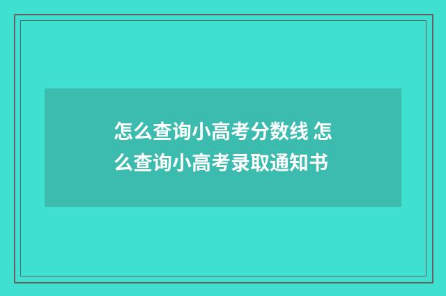 怎么查询小高考分数线 怎么查询小高考录取通知书
