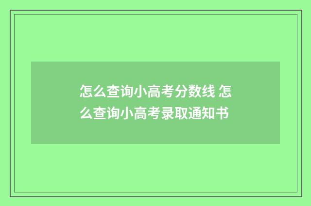 怎么查询小高考分数线 怎么查询小高考录取通知书