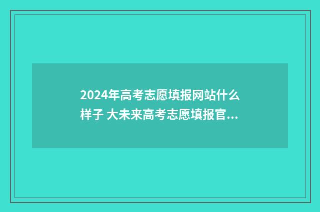 2024年高考志愿填报网站什么样子 大未来高考志愿填报官网