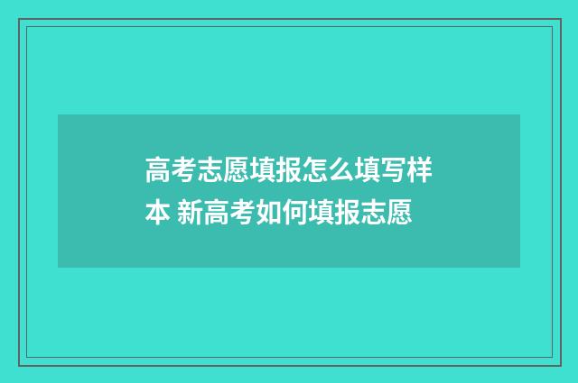 高考志愿填报怎么填写样本 新高考如何填报志愿