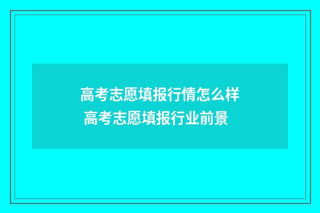 高考志愿填报行情怎么样 高考志愿填报行业前景