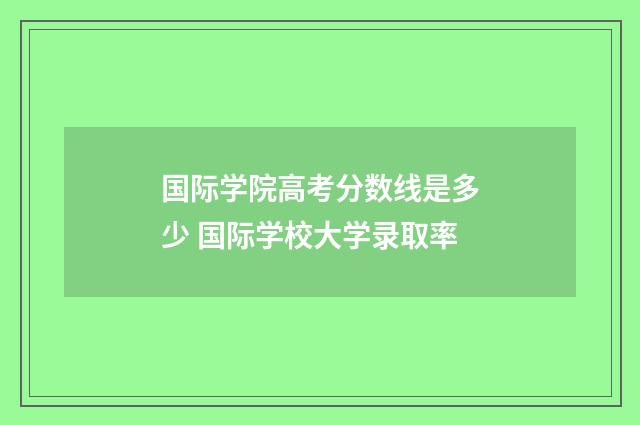 国际学院高考分数线是多少 国际学校大学录取率