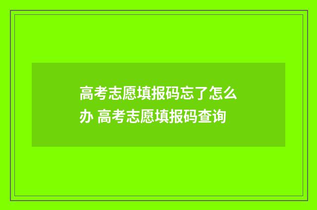 高考志愿填报码忘了怎么办 高考志愿填报码查询