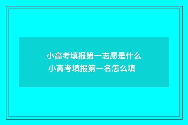 小高考填报第一志愿是什么 小高考填报第一名怎么填