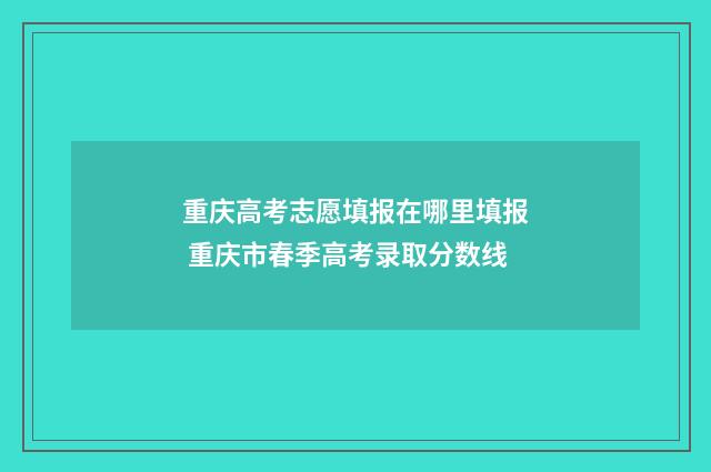重庆高考志愿填报在哪里填报 重庆市春季高考录取分数线