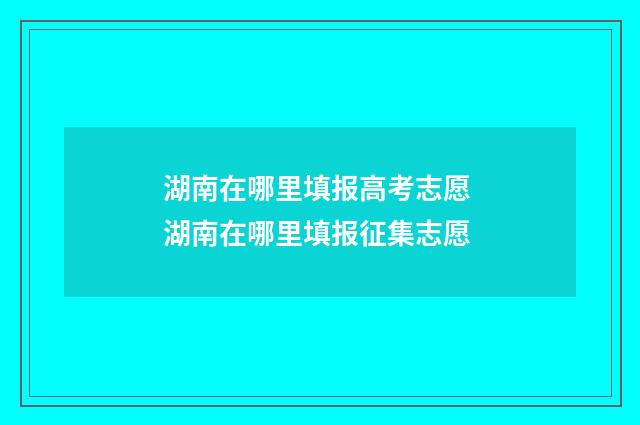 湖南在哪里填报高考志愿 湖南在哪里填报征集志愿