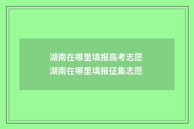 湖南在哪里填报高考志愿 湖南在哪里填报征集志愿