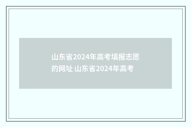 山东省2024年高考填报志愿的网址 山东省2024年高考
